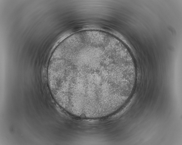 X0000112431145200909251531