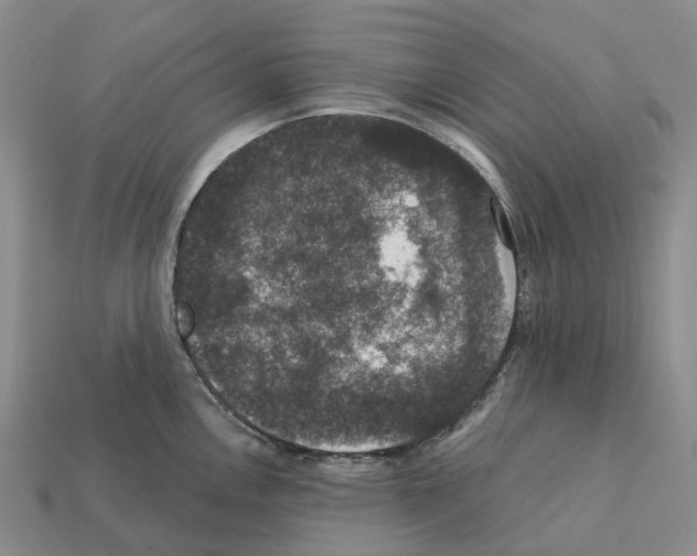 X0000112431146200909251531