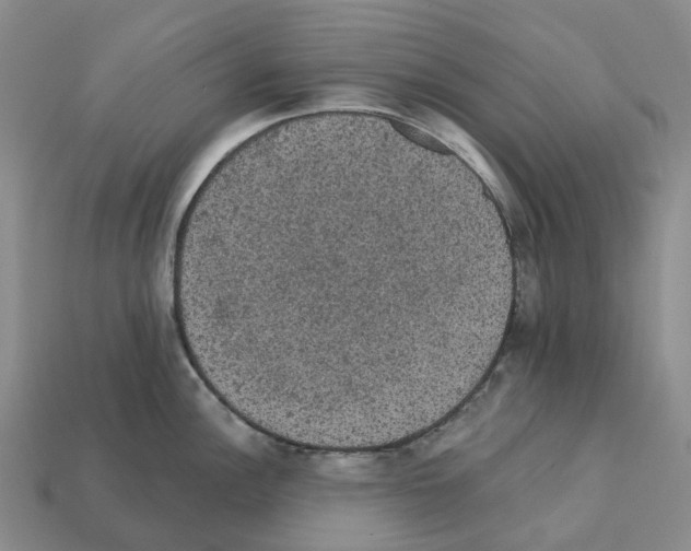X0000112431148200909251531