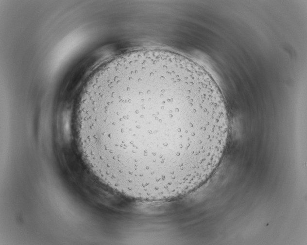 X0000112431150200909251531