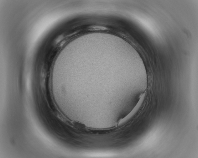 X0000112431151200909251531
