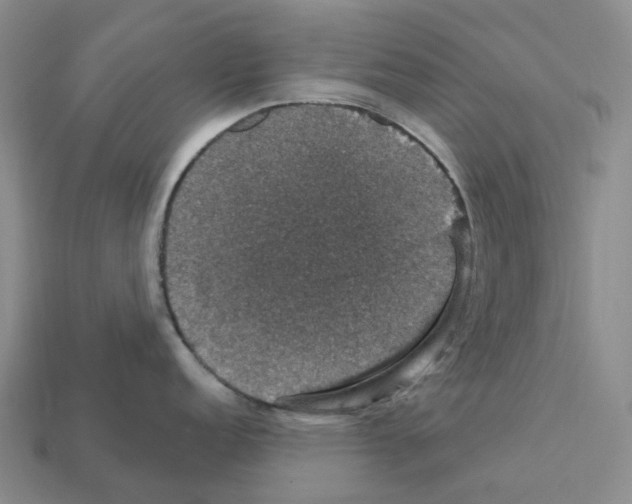 X0000112431152200909251531