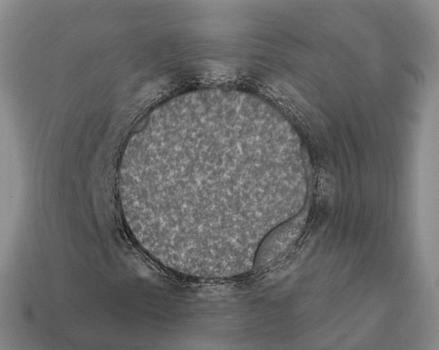 X0000112431153200909251531