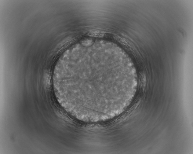 X0000112431154200909251531