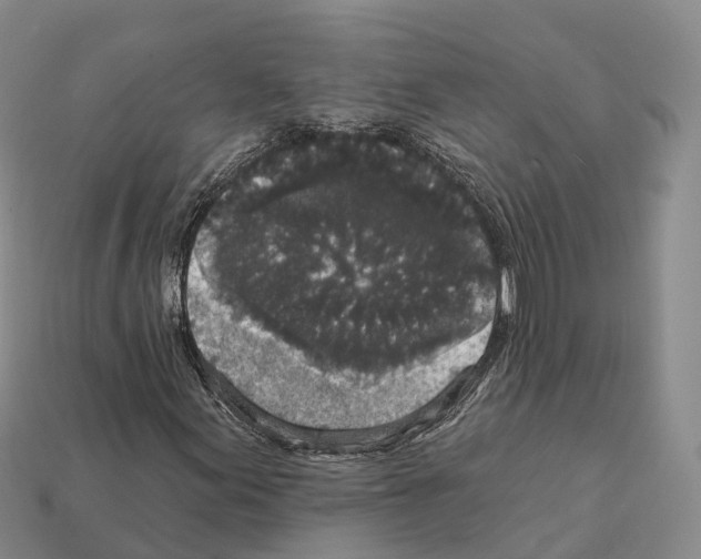 X0000112431155200909251531