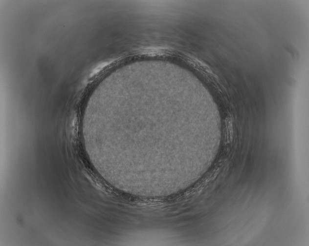 X0000112431158200909251530