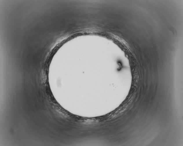 X0000112431160200909251530
