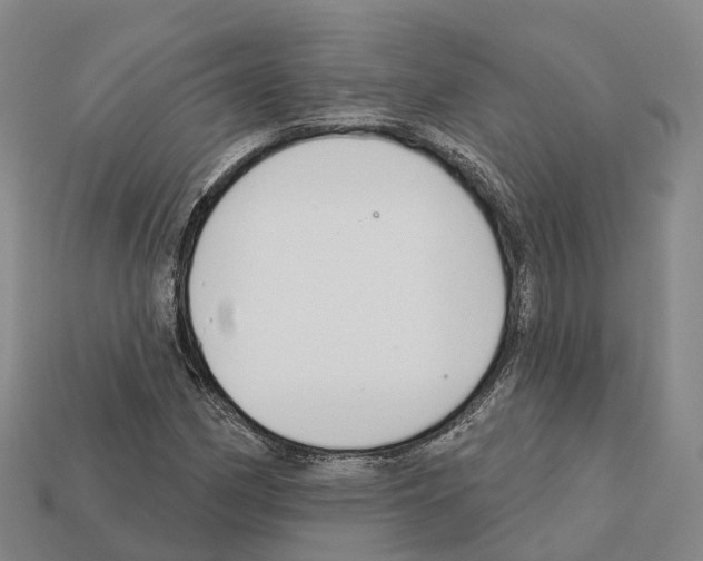 X0000112431162200909251530