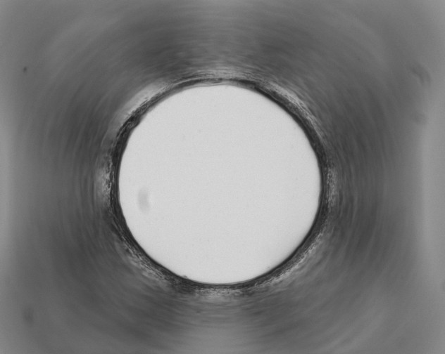 X0000112431163200909251530