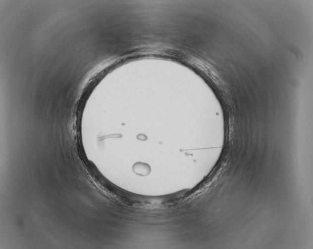 X0000112431164200909251530