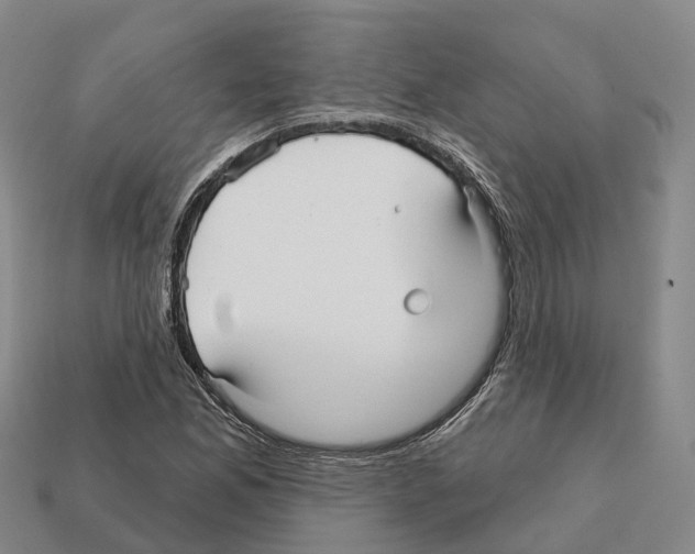 X0000112431165200909251530