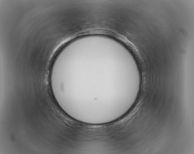 X0000112431166200909251530