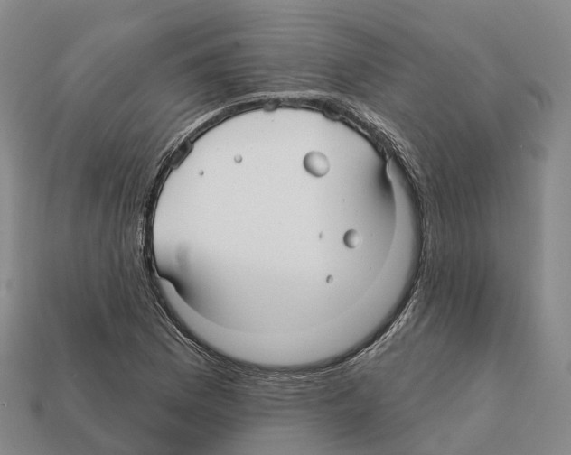 X0000112431169200909251530