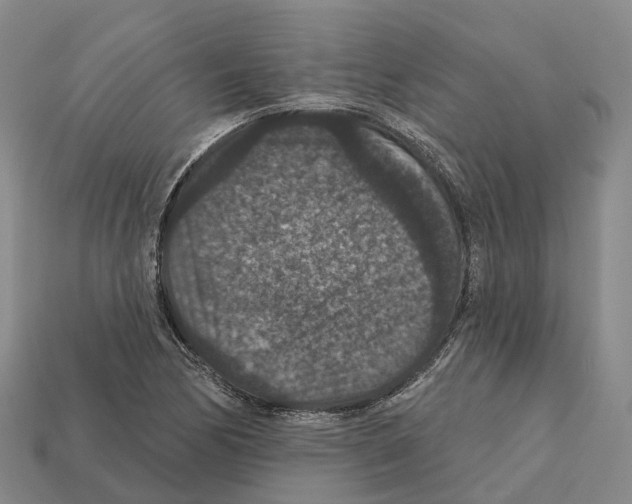X0000112431170200909251530