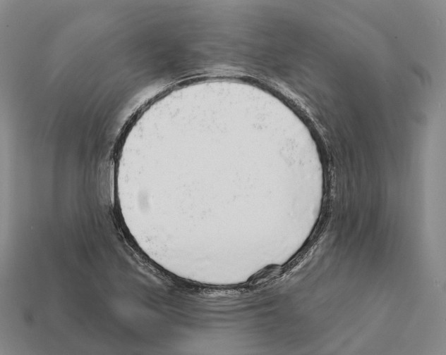 X0000112431171200909251530
