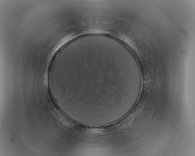 X0000112431173200909251530
