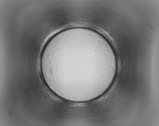 X0000112431174200909251530