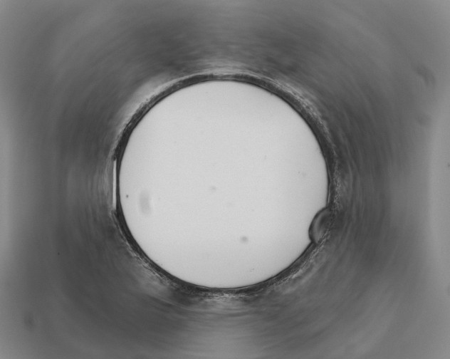 X0000112431175200909251530