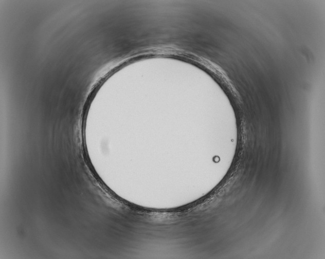 X0000112431176200909251530