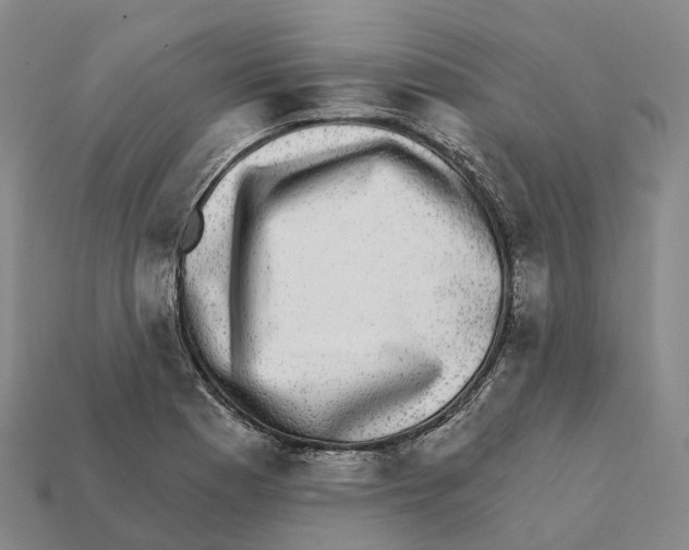 X0000112431177200909251530