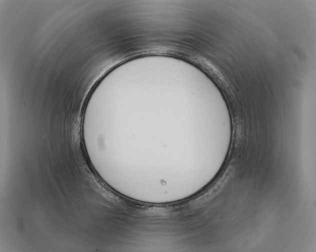 X0000112431178200909251530