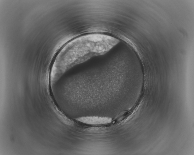 X0000112431179200909251530