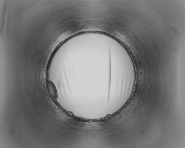 X0000112431181200909251530