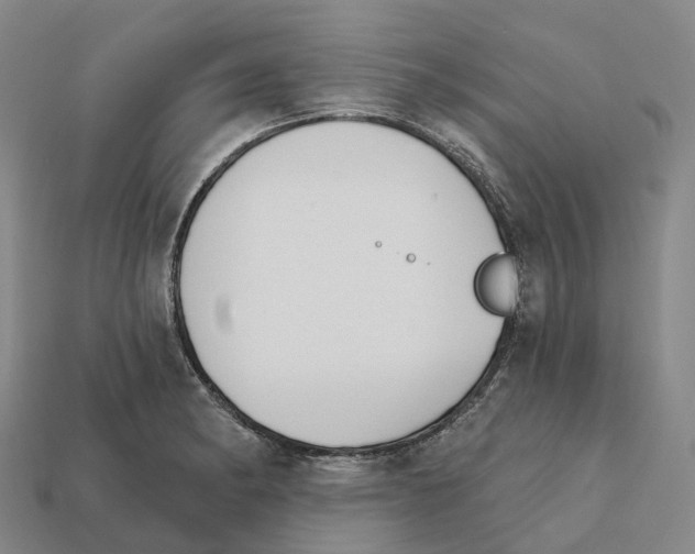X0000112431182200909251530