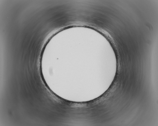 X0000112431183200909251530