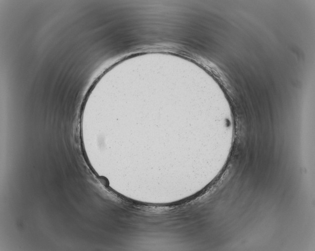 X0000112431184200909251530