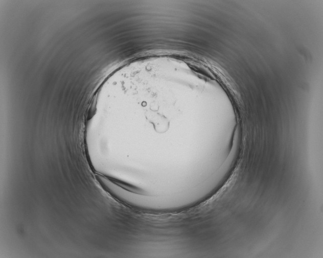 X0000112431185200909251530