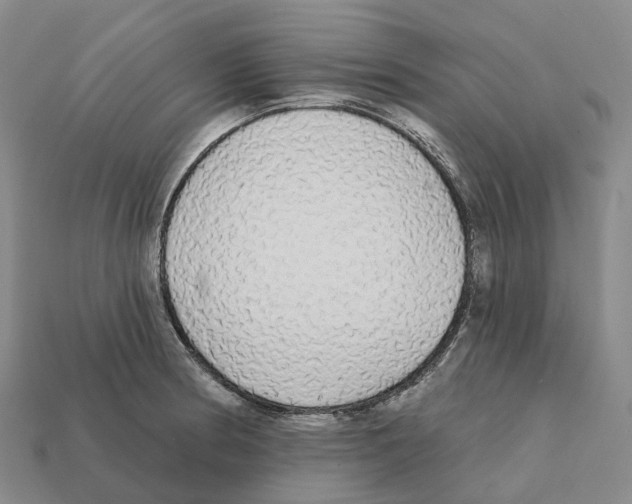 X0000112431186200909251530