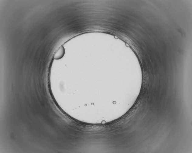 X0000112431187200909251530