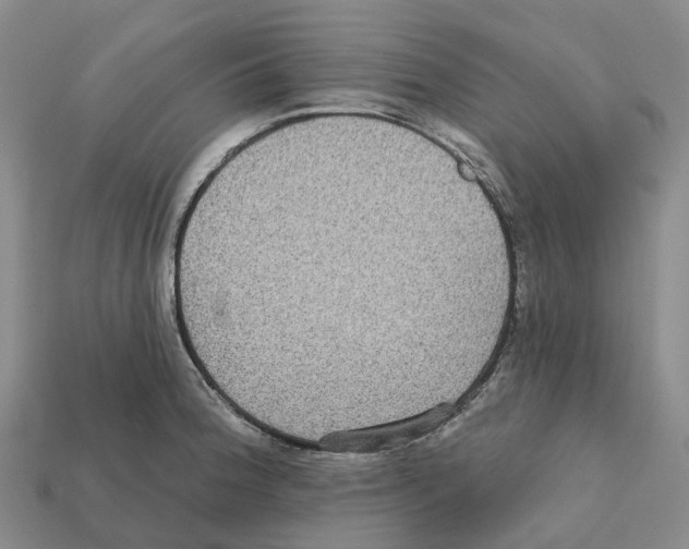 X0000112431188200909251530