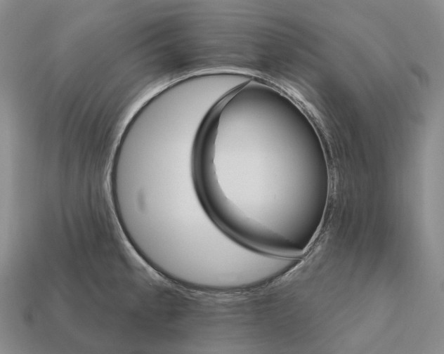 X0000112431189200909251530