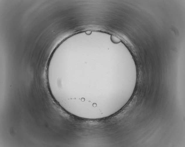 X0000112431190200909251530