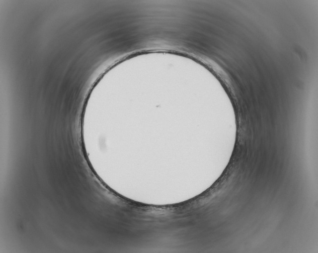 X0000112431191200909251530