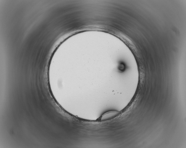 X0000112431192200909251530