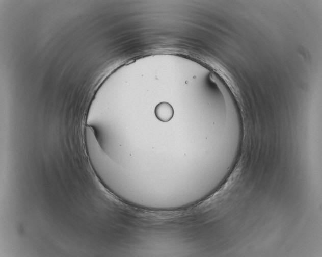 X0000112431193200909251530