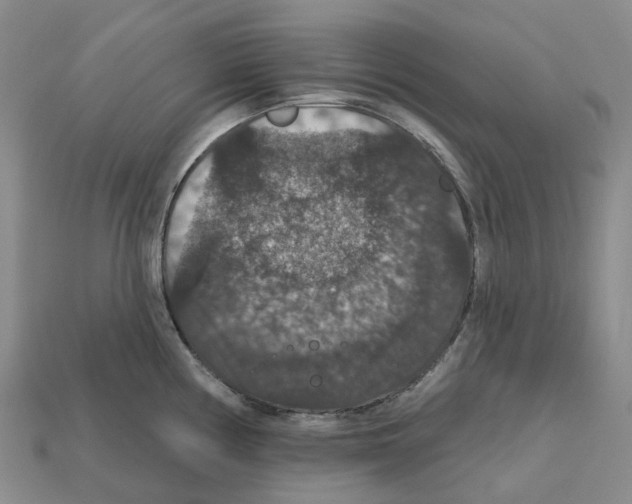 X0000112431194200909251530
