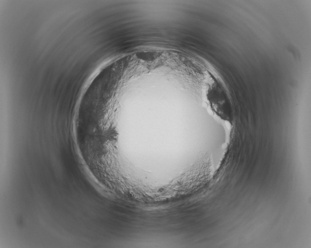 X0000112431195200909251530