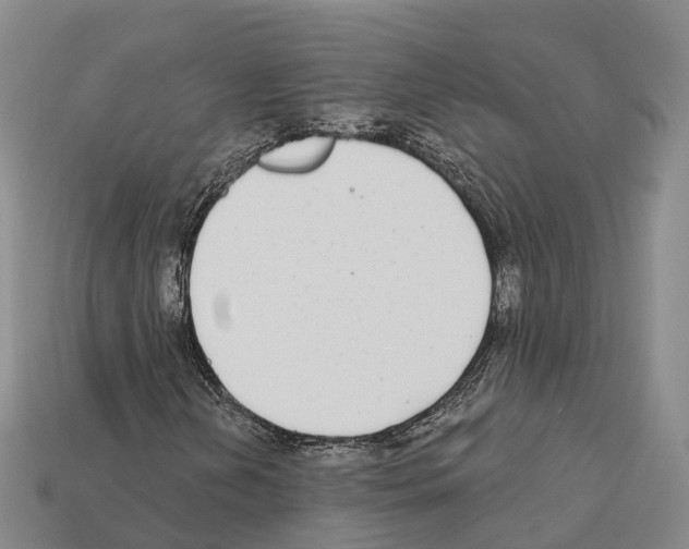 X0000112431202200909251529