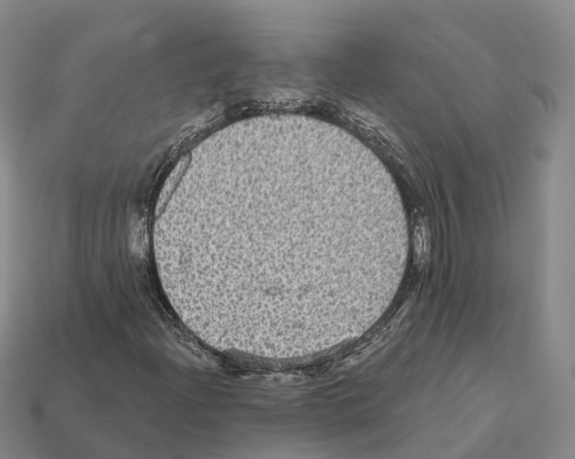 X0000112431204200909251529