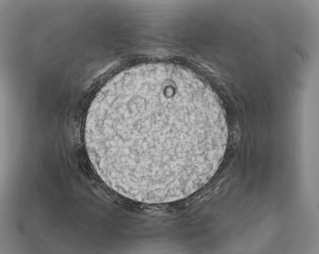 X0000112431205200909251529