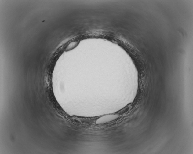 X0000112431206200909251529