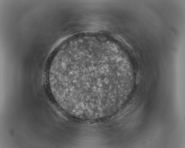 X0000112431208200909251529