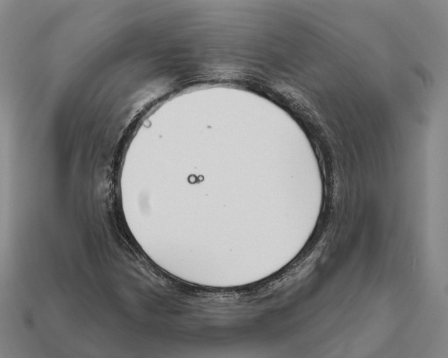 X0000112431210200909251529