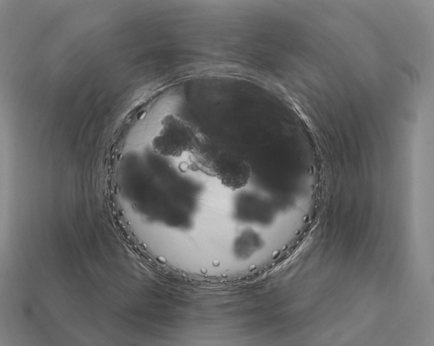 X0000112431211200909251529