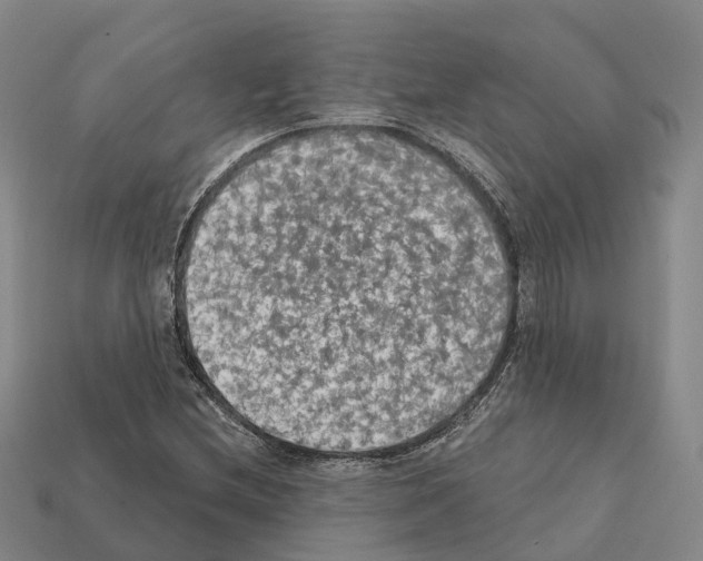 X0000112431212200909251529
