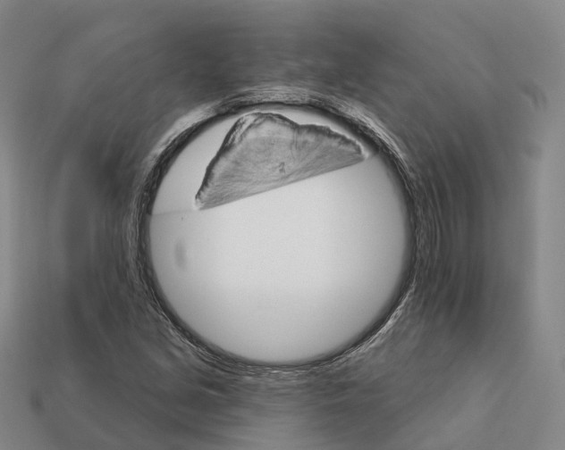 X0000112431213200909251529
